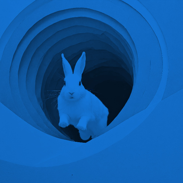 Firefly-Duo-tone-image-of-a-rabbit-running-to-its-burrow.jpeg