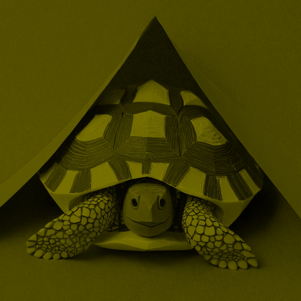 Firefly-Duo-tone-image-of-a-turtle-hiding-in-its-shell.jpeg